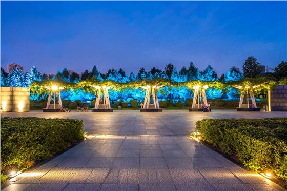 樹(shù)木亮化工程-2