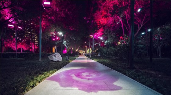 樹(shù)木亮化工程-3